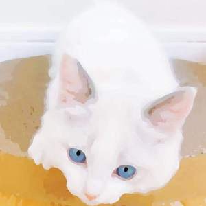 扒开美女❌狂揉❌难受亲嘴男同
