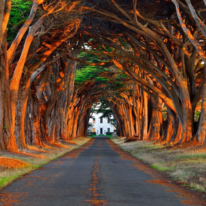 扒开美女❌狂揉❌难受亲嘴男同
