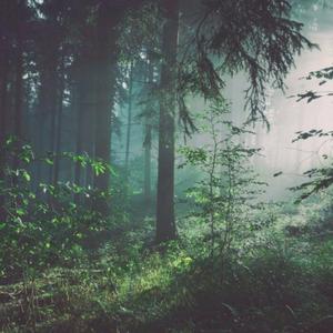 扒开美女❌狂揉❌难受亲嘴男同
